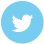 Small Twitter Logo
